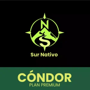 Cóndor