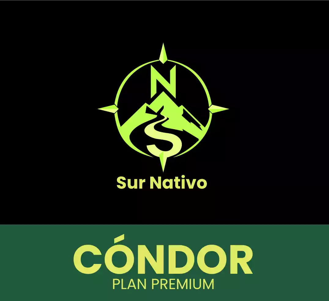 Cóndor