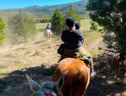 Cabalgatas Haneck
