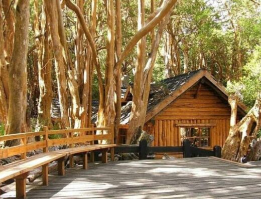 Parque Nacional Arrayanes