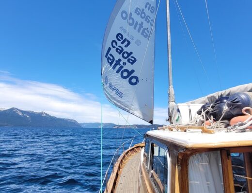 Velero IMPACIENTE