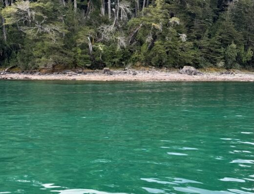 Catamaran Bandurria