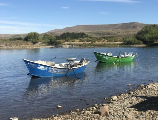 Patagonian Fly Fishing- Salidas de pesca y servicio de guías