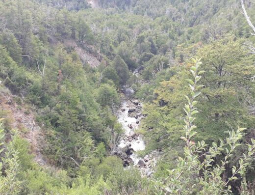Cascada Vuliñanco