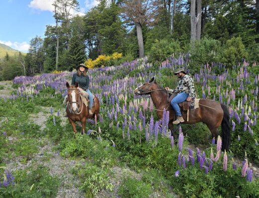 Cabalgatas Montahue Villa La Angostura