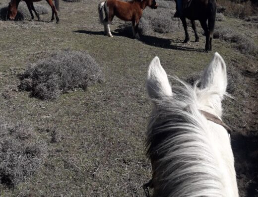 Establecimiento Gumercindo (Cabalgatas)