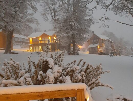 Bosque Nevado