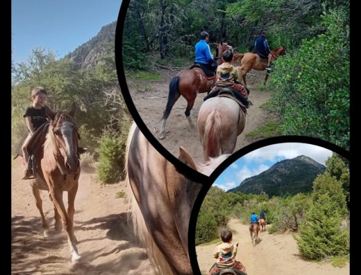 Cabalgata El Palenque Para Toda La Familia – PASEOS A LA NIEVE