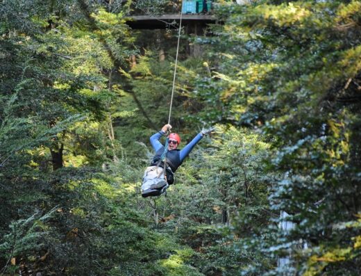 Canopy Bariloche