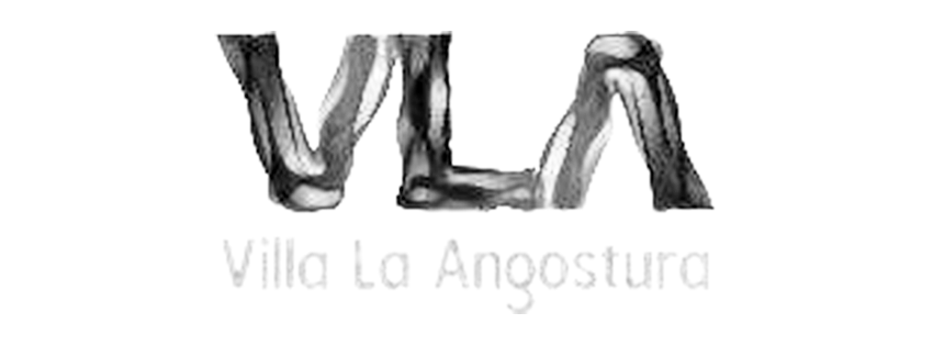 logo-carousel-vla