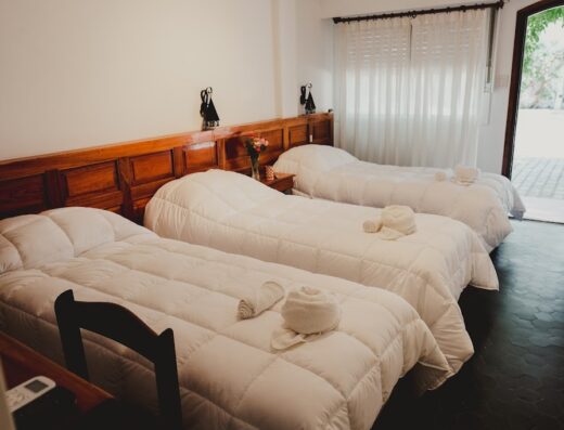 Hotel Nuevo Caminante
